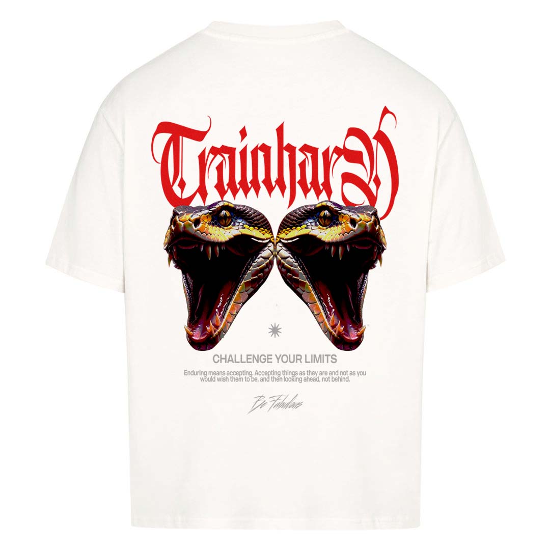 Challenge your Limits (Backprint) Oversized Shirt