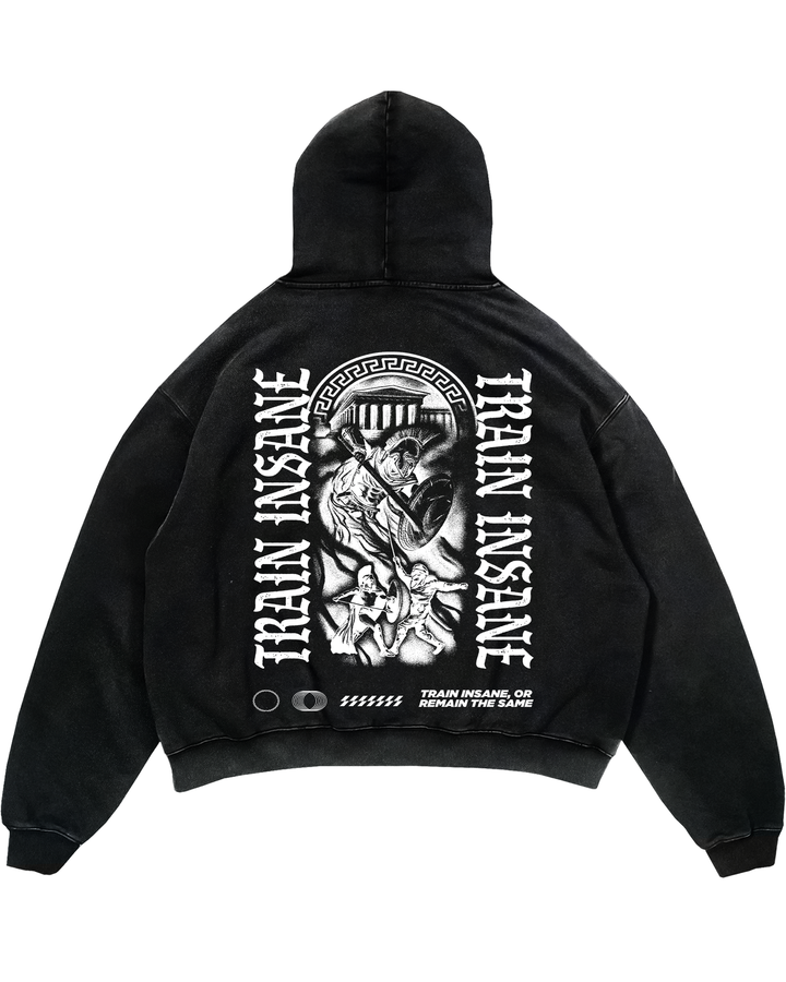 Insane Oversized Hoodie